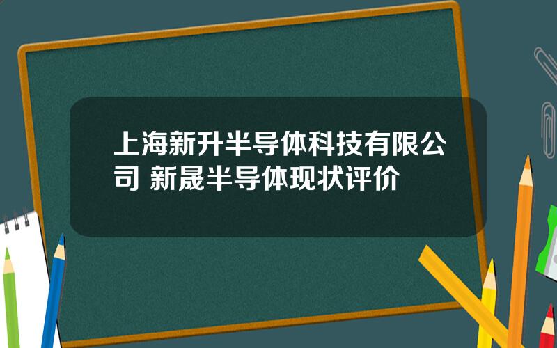 上海新升半导体科技有限公司 新晟半导体现状评价